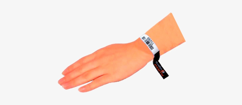 Aquí Nos Vamos A Centrar En El Sistema De Control Mediante - Pulsera Y Mano Png, transparent png