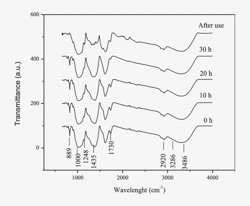 Ft-ir Spectra Of Banana Peels At Different Milling - Banana Peel, transparent png
