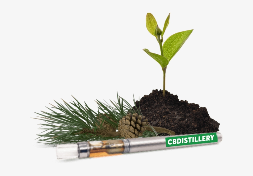 200 Mg Cbd Disposable Vape Pen, transparent png