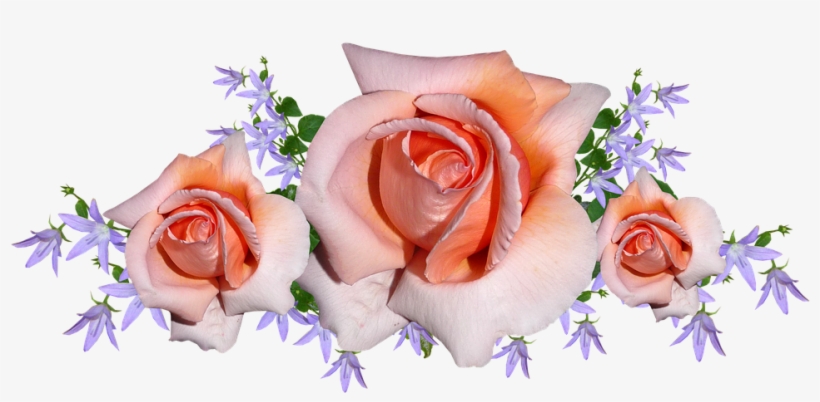 Flowers, Roses, Arrangement, Bouquet, Bloom - Flower, transparent png