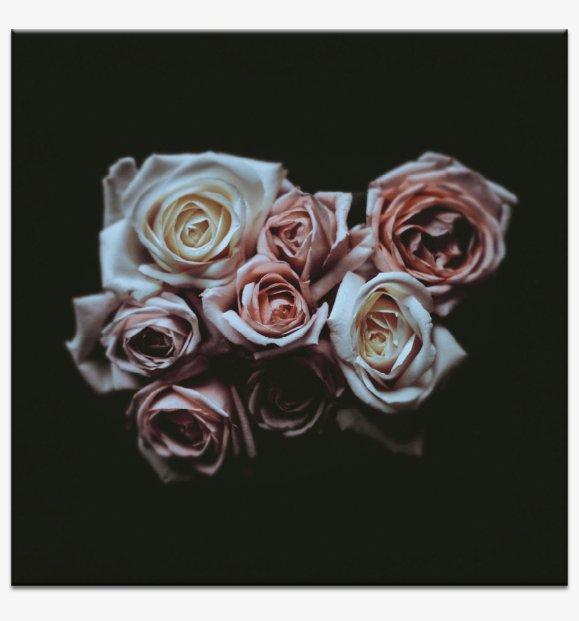 Rose Bouquet - Wallpaper, transparent png