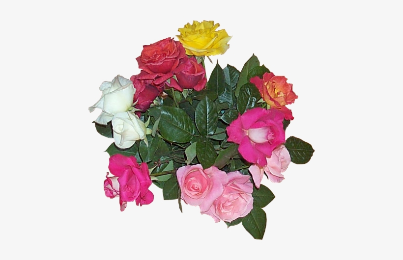Flower Bouquet Yellow White Red - Wikimedia Commons, transparent png
