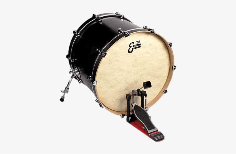 Bass Drum - Evans Calftone Eq4, transparent png