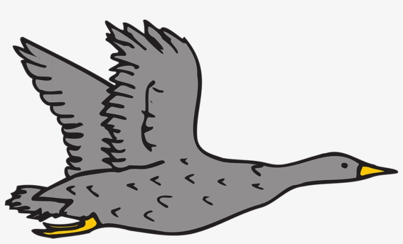 Goose Clipart Grey Goose - Cafepress Grey Goose Sticker Square Bumper Car Decal, transparent png