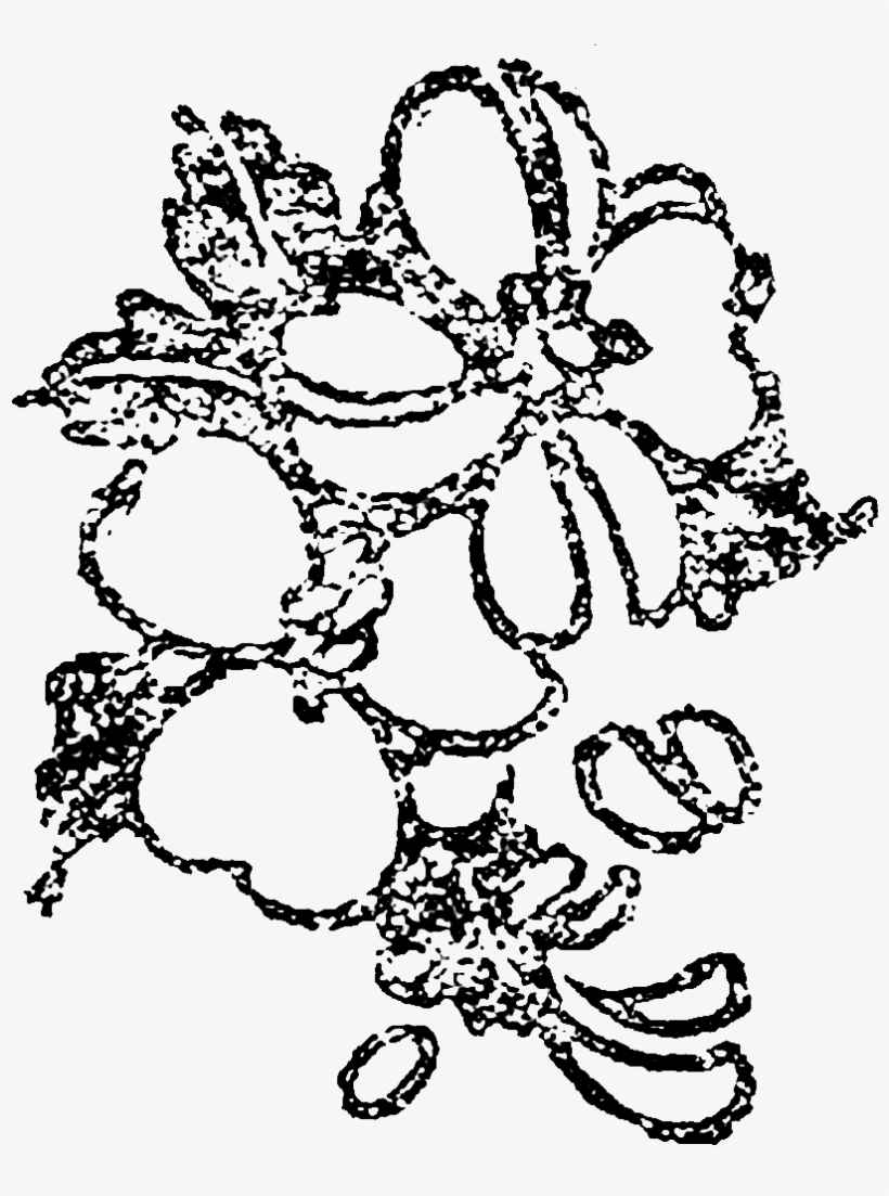 However, I Love That The Distressed Look Only Gives - Illustration, transparent png