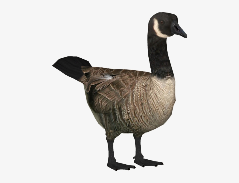 Goose Clipart Transparent - Goose Transparent, transparent png