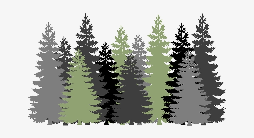 Free Image On Pixabay - Forest Clipart, transparent png