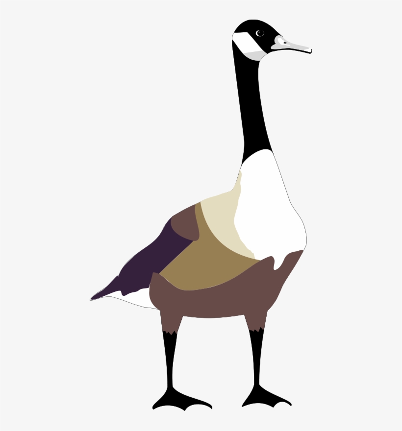 Bird Free Vector - Goose Clipart, transparent png