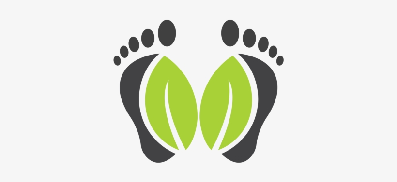 Medical Foot, Medical, Foot, Herbal Png And Vector - Illustration, transparent png