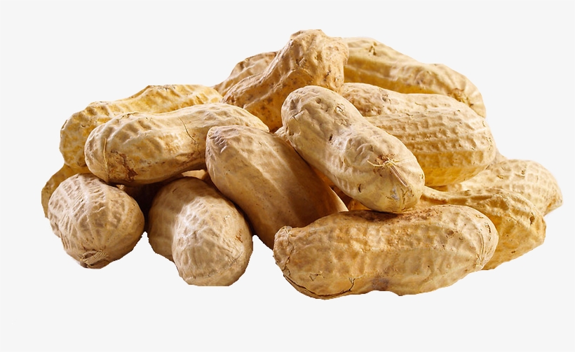 Peanut Png Hd - Groundnut Oil Png, transparent png