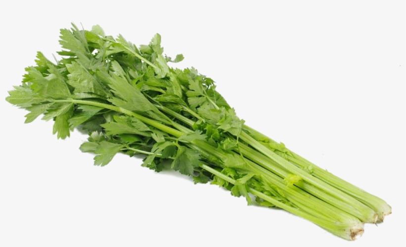Celery Transparent Green - 有機 芹菜, transparent png
