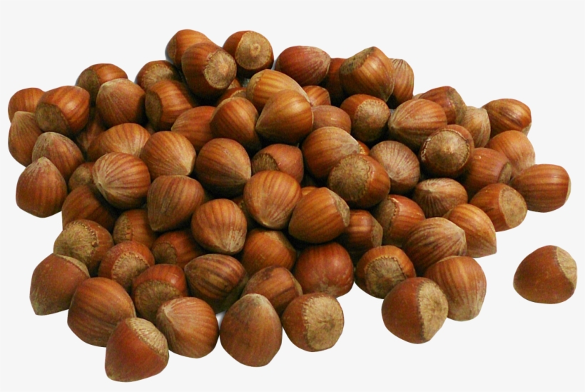 Hazelnut Png Transparent, transparent png