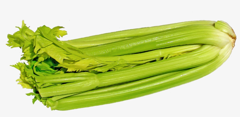 Green Celery Png Image - Png Celery, transparent png