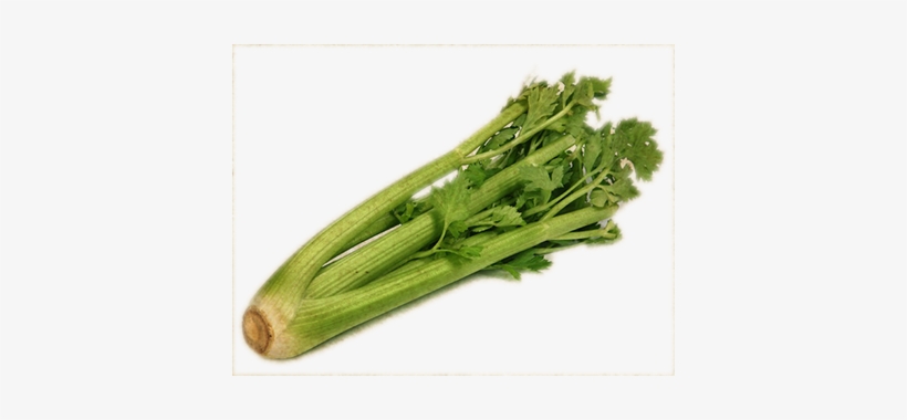 Celery Transparent Background - ซา ลา รี่, transparent png