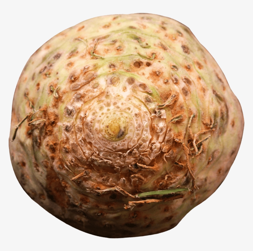 Free Png Fresh Celery Root Png Images Transparent - Portable Network Graphics, transparent png