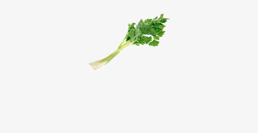 Celery, transparent png