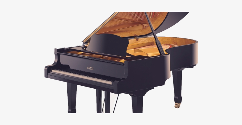 Klaver Taustata1-520 - - Acoustic & Digital Piano Buyer - Trade Paperback, transparent png