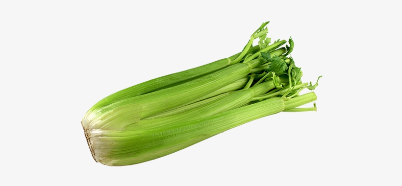 Leek, transparent png