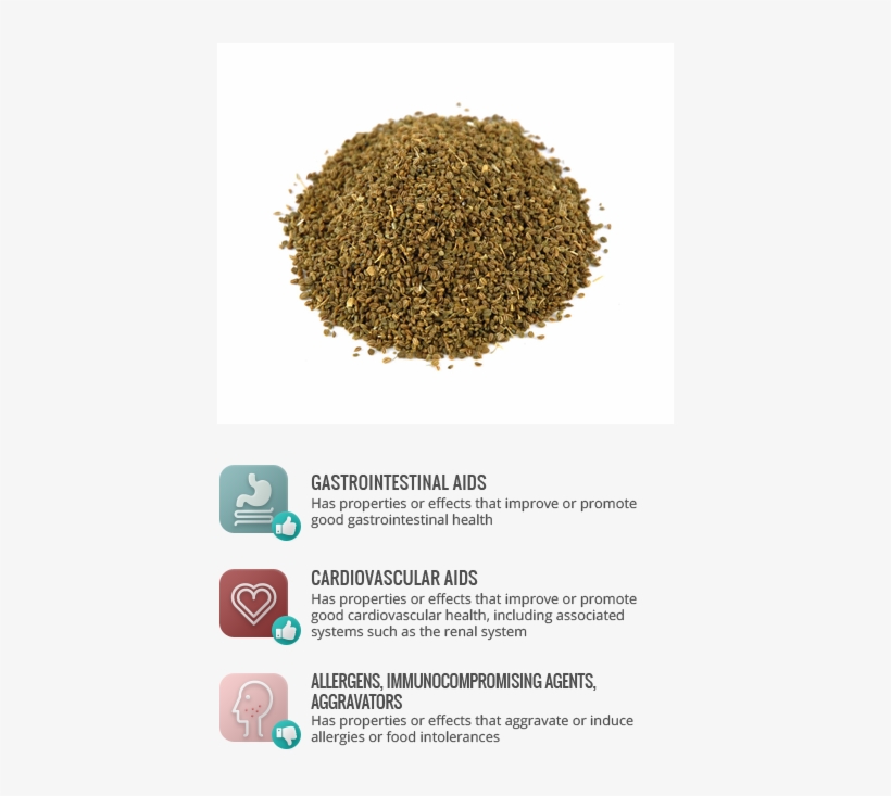 Allergens - Michele's Pantry Celery Seed 16 Oz - 1lb., transparent png