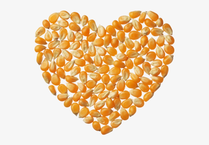 Popcorn Kernels - Popcorn Kernels Png, transparent png