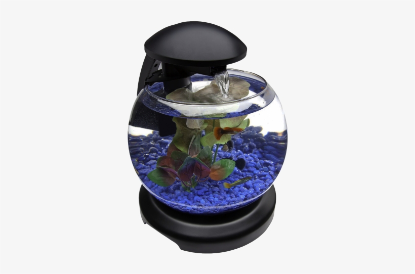 Glob Aquarium Fish Tank Png Transparent Image - Png Transparent Fish Tank Png, transparent png