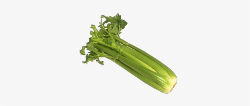 Celery - Celery Seed, Tendercrisp, 100 Seeds, Heirloom, Organic,, transparent png