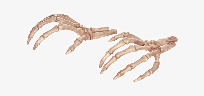 Skeleton Hands - Crazy Bonez Skeleton Hands For Halloween Decoration, transparent png