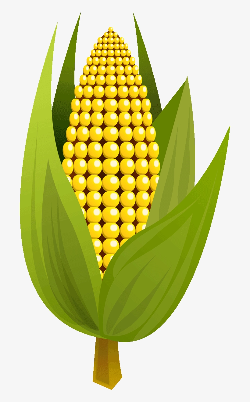 Corn Clipart Yellow Fruit - Maize, transparent png