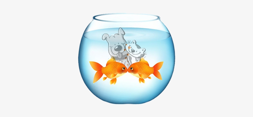 Fish Bottle Opener Fridge Magnet, transparent png