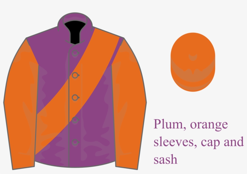Plum, Orange Sleeves, Cap And Sash - Baron Amherst Of Hackney, transparent png