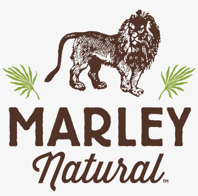 Bob Marley Family Lends Reggae Legend's Name To Cannabis - Marley Natural Logo Png, transparent png