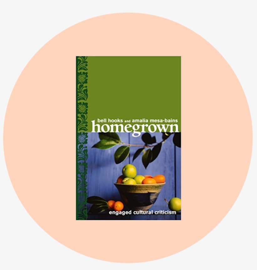 Bookrec 5 - Homegrown: Engaged Cultural Criticism, transparent png