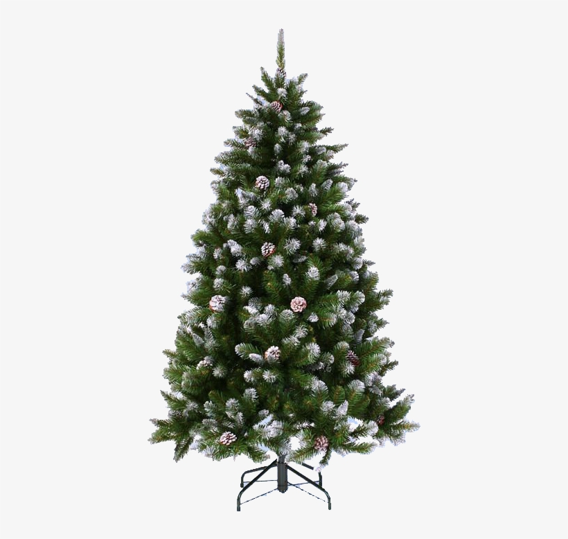 Árbol De Pino Con Nieve Para Navidad - Ель С Шишками Императрица Заснеженная, transparent png