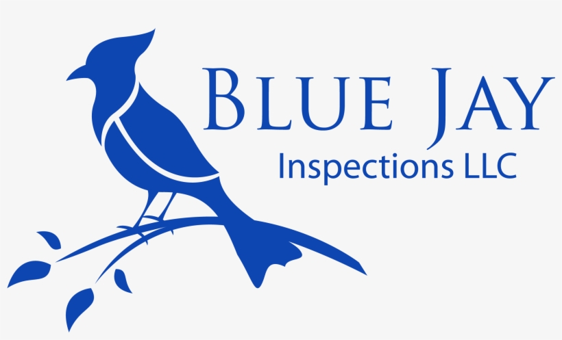 Blue Jay Inspections - Blue Jay Bird Logo, transparent png