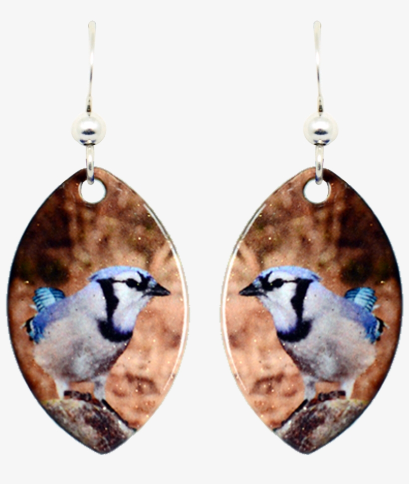 Blue Jay - Earrings, transparent png