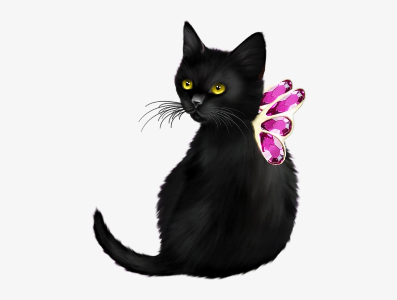 Изображение8 - Cat, transparent png