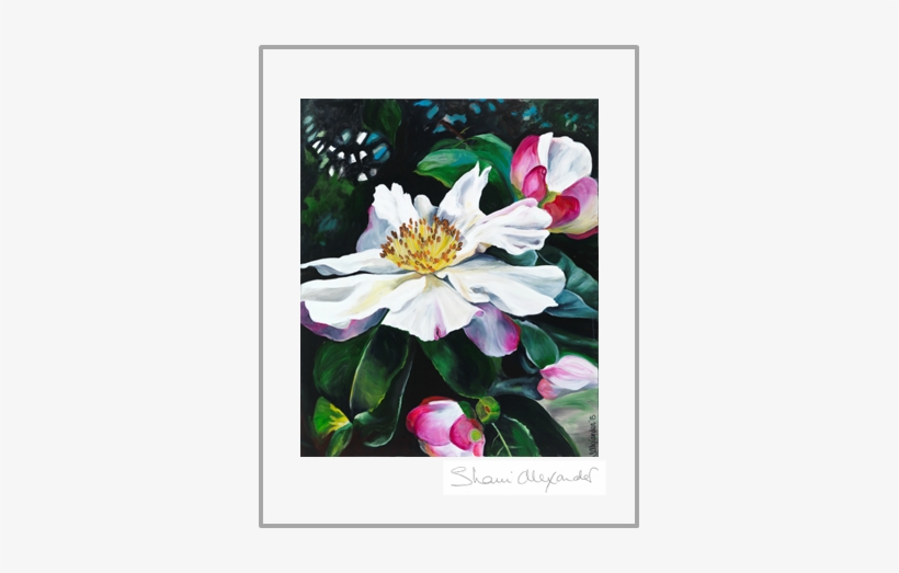 Simply Elegant T-towel - Camelia Canvas Print With Frame, transparent png