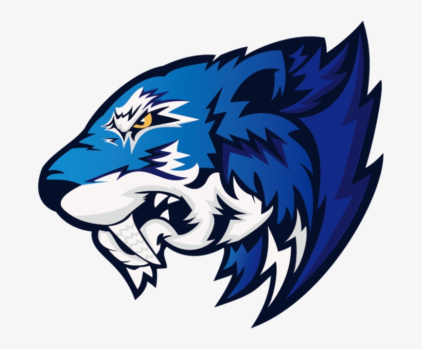 Flash Gaming - Flash Gaming Cs Go, transparent png