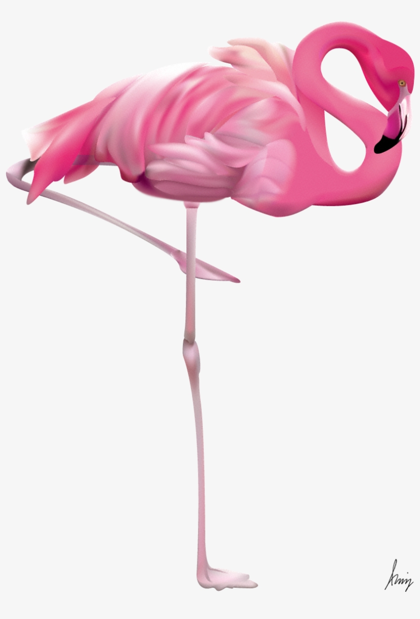 Flamingo By Leo - Flamingo Png, transparent png