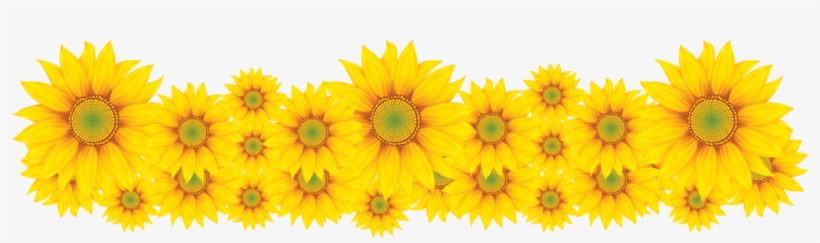 Film, transparent png
