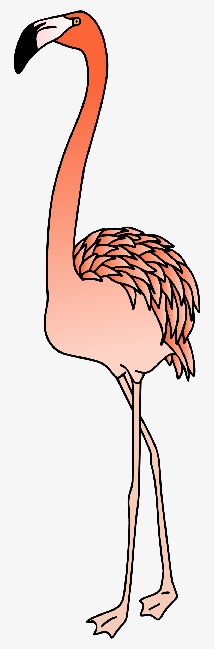 Big Image - Portable Network Graphics, transparent png