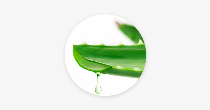 Aloe Vera - Babaria Aloe Vera Cleansing Milk 400 Ml -, transparent png