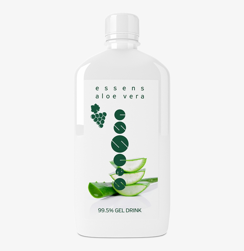 Aloe Vera, transparent png