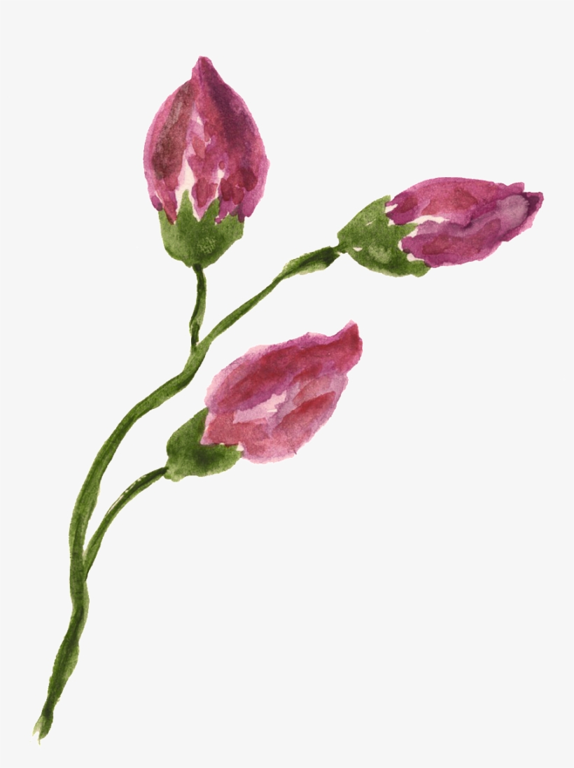 This Graphics Is Rose Flower Branch Transparent Decorative - Portable Network Graphics, transparent png