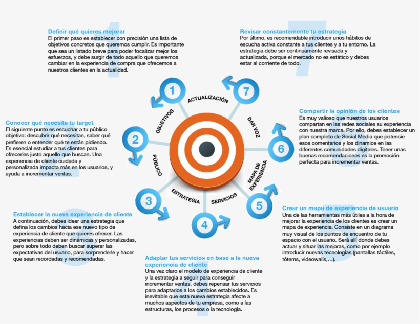 25 Jul Infografia 02 - Estrategias Para Incrementar Las Ventas, transparent png