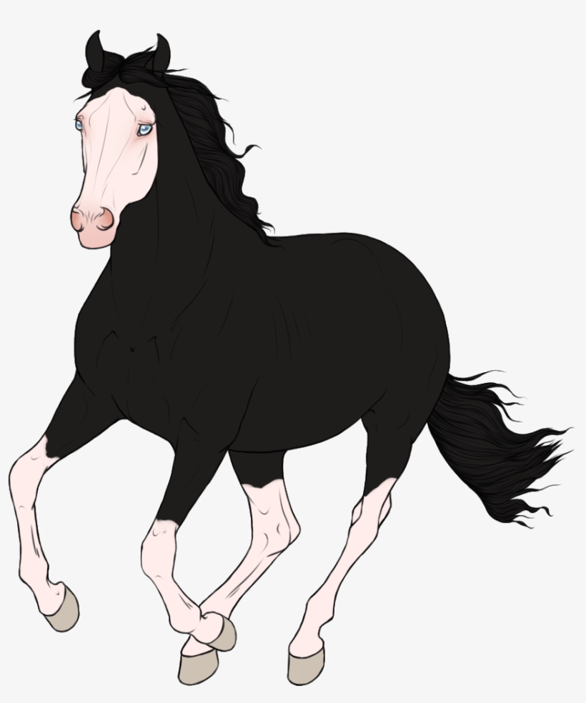 Photo Gunshot - Mane, transparent png