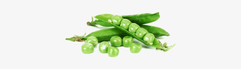 Peas Png, transparent png