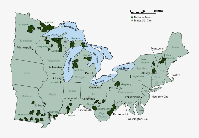 A Map Of The Eastern Region Of The United States Displaying - United States National Forest, transparent png