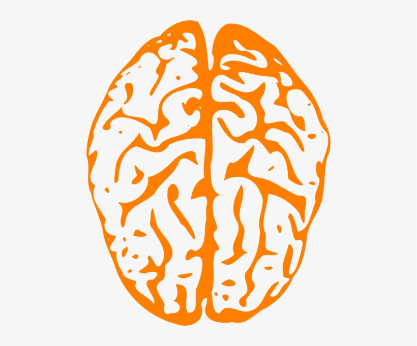 How To Set Use Orange Brain Svg Vector, transparent png
