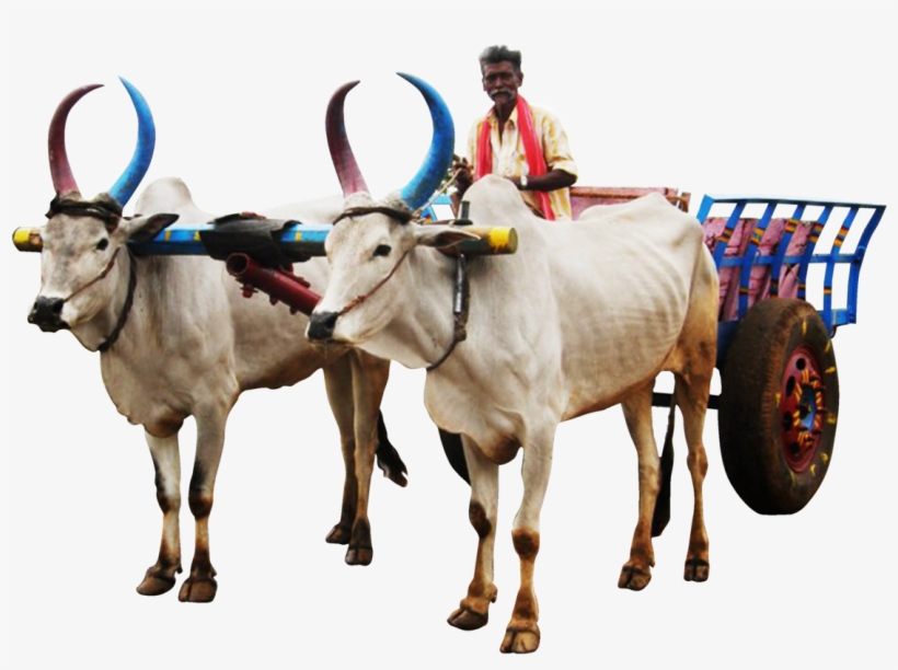 Jugaad Render - Bullock Cart Image Png, transparent png